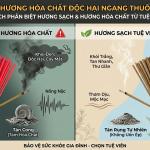 Cách Phân Biệt Hương Sạch Và Hương Hóa Chất Chỉ Trong 3 Bước
